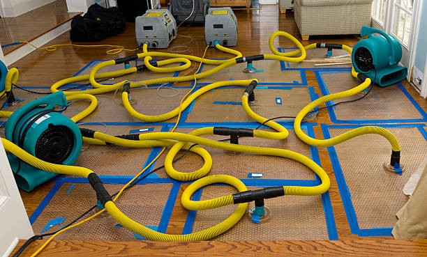 Professional Sewage Cleanup technician working in North Port, FL